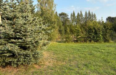 Domek myśliwski - Foto 11