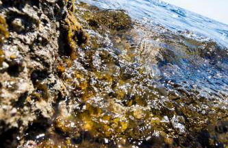 Residenza Solemar - Foto 49