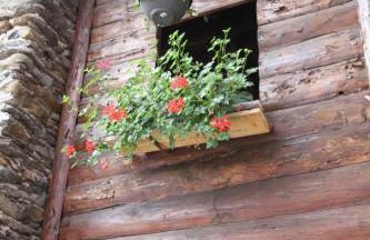 Casa delle Corti - Photo 21