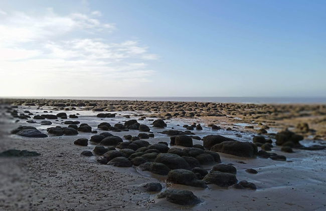 Pets Stay Free 2 Bedroom Caravan at Heacham Beach - Foto 22