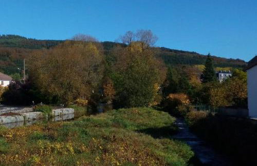 Maison indépend. 6 personnes à 10 mn de Gérardmer - Foto 30