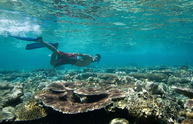 Snorkeling alla Pared de El Palmar - Foto 1