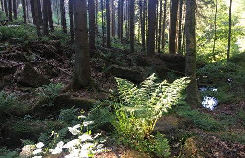 Infinity Two - Foto 23