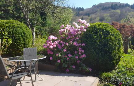 Haus Fernblick - Foto 31