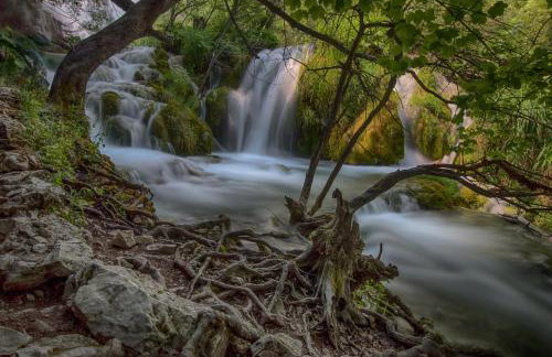 Apartments Božić - Foto 45