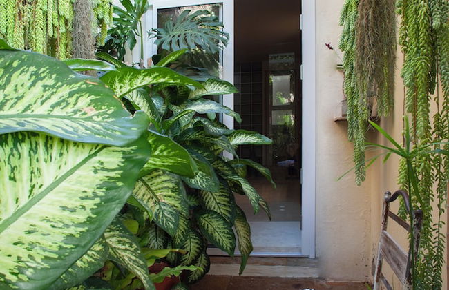 Love Garden - Photo 54