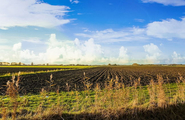 Charming Vacation Home With Terrace - Photo 35