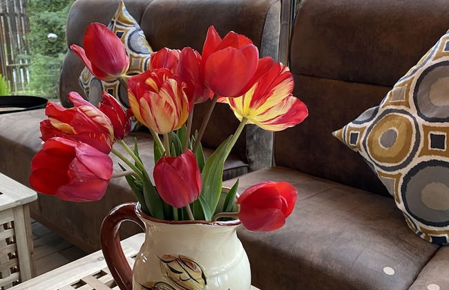 Chalet Milenium Residence Bran - Foto 18