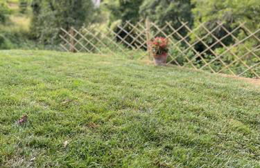 THE DORMOUSE - Il Ghiro - Foto 40