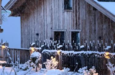 DILIA Chalets & Apartments - Foto 5