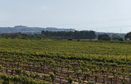 Casa Verdelho - Foto 20