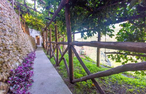 Poggio Angelarosa: Lemon Garden Stay&Relax - Photo 33