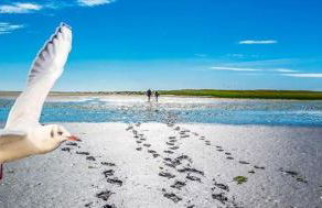 Ferienhof Peter - Foto 32