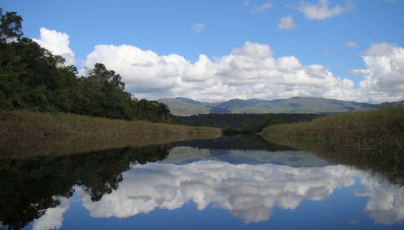 Excursión al Pantanal de Marimbus y al río Roncador - Foto 2