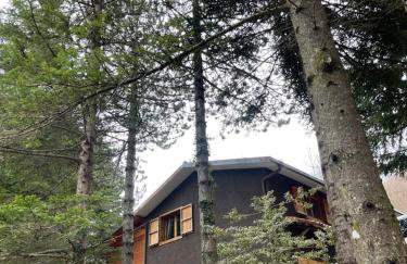 Chalet Leonard House in the wood - Foto 25