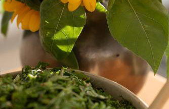 Casa d'Amares - Foto 43