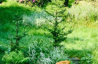 Dom CROCUS z ogrodem w Parku Krajobrazowym - Foto 37