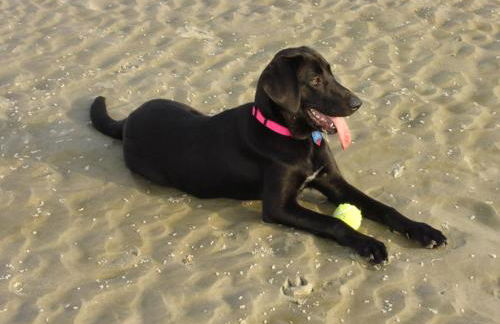 527 Sunsuite - Foto 18