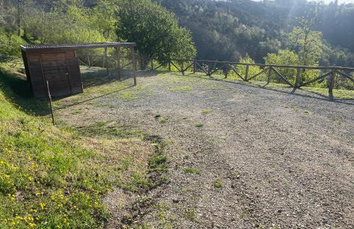 Podere il Poggio - Foto 52