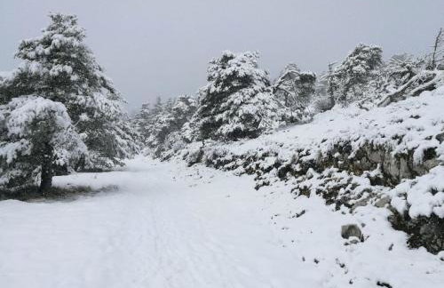 Studio avec cheminée et jardin - Foto 18
