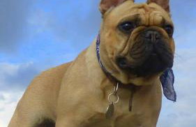 Ocean Drive Deluxe Apartment with complimentary Day Time Beach hut - Foto 35