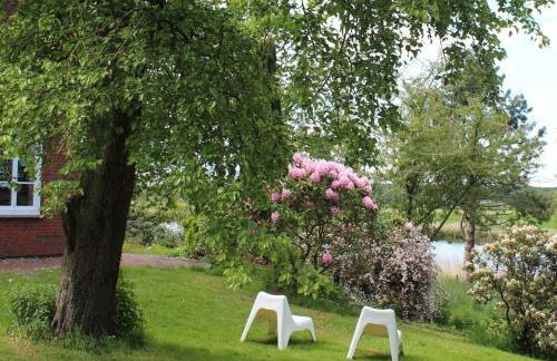 Reetdachhaus direkt am Wasser - Foto 3