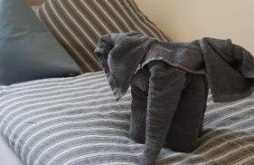 Apartment Westend - Photo 15