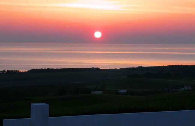 Oca Giuliva - Foto 43