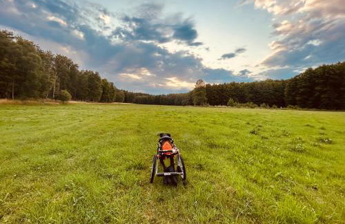 aResowa Wioska - Foto 22