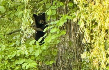 Cozy Lake House - Salisbury/Lakeville - Foto 24