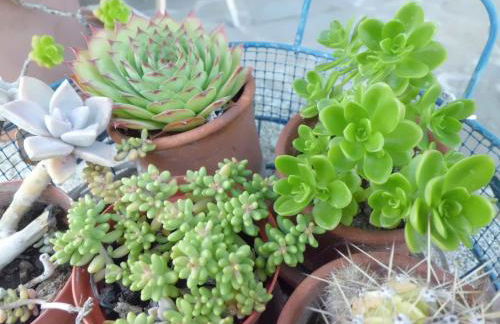 Casetta dei "Prati" - Foto 40