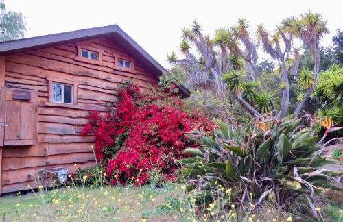 Pacific Coast Hwy Bunkhouse in San Luis Obispo - Foto 12