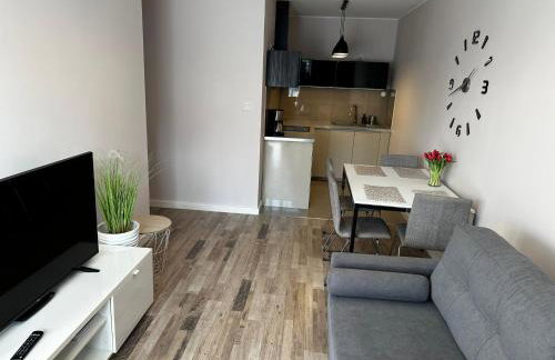 Apartament Szary - Foto 4