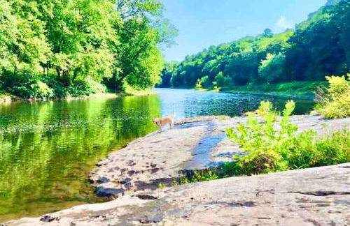 Scenic Views & River Access, Cozy River Home - Foto 67