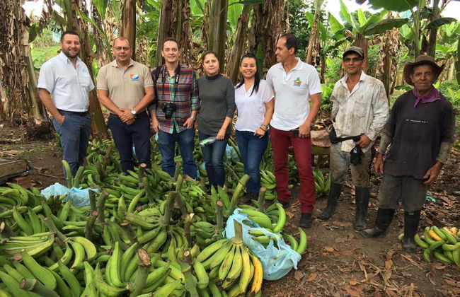 Pereira Excursion + Banana Farm Visit - Foto 1