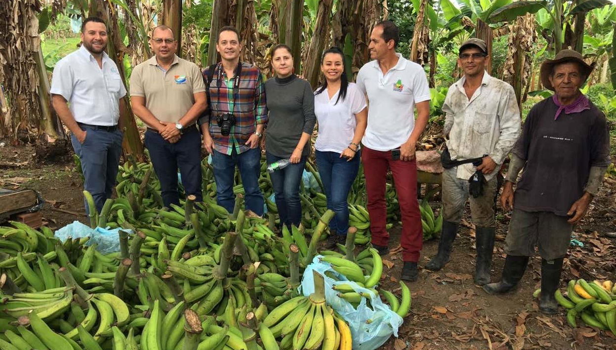 Visita a una finca platanera