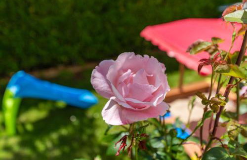 Sabina 2, Poreč - Foto 36