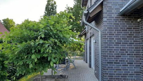 Ferienwohnung Birkenhof Alfsee - Foto 3