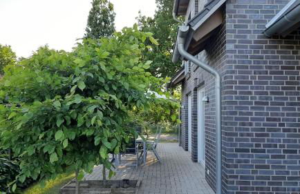 Ferienwohnung Birkenhof Alfsee - Foto 3