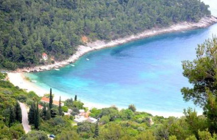 Stone house in vineyard - Photo 23