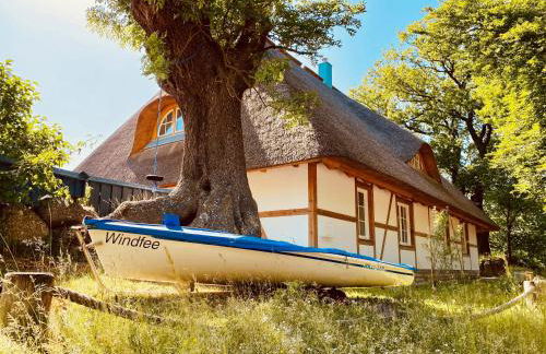 Haus Windfee Fewo 1 - Foto 21