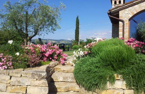 Agriturismo La Torraccia - Foto 3