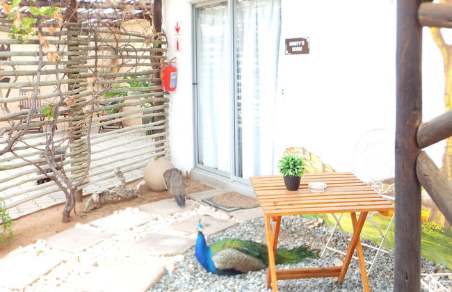 Daisy Country Lodge - Foto 4