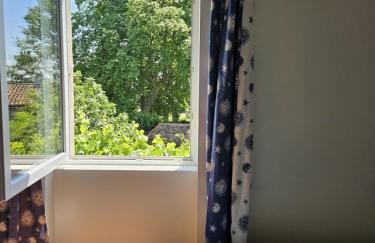 La surprise des jumelles - Foto 17