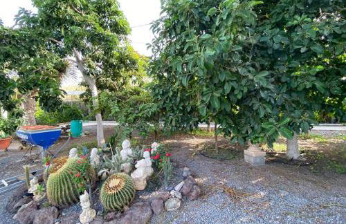 2 Apartments with private pool at Villa Diaz Aleman - Foto 14