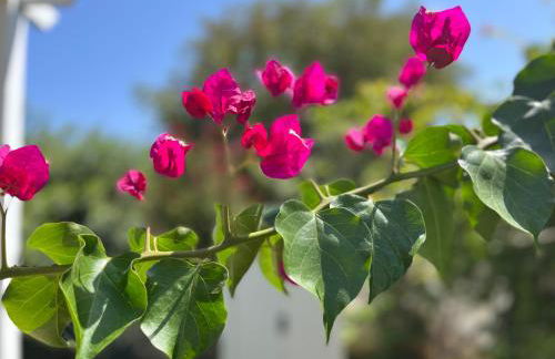 VILLA GIORGIA - Foto 11