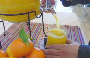 Aparthotel Fontanellas Playa - Photo 44