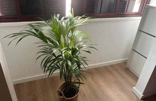 City Break by Isa - Foto 3