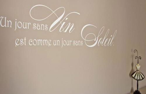 Villa in Provence With Infinity Pool - Foto 78