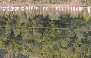 Villa Alex - Foto 68